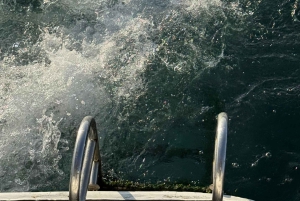 Istanbul: Morning Bosphorus Yacht Cruise w/Turkish Breakfast