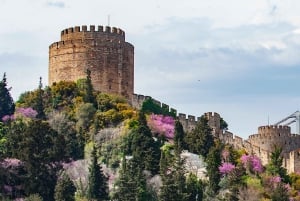 Istanbul: Morning or Sunset Cruise with Guide and Snacks