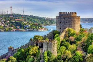 Istanbul: Morning or Sunset Cruise with Guide and Snacks