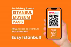 Istanbul MUSEUM PASS: Skip-the-Line Top Museums FREE Entry