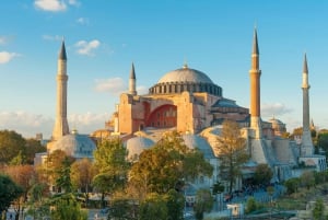 Istanbul MUSEUM PASS: Skip-the-Line Top Museums FREE Entry