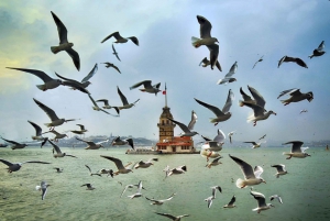 Istanbul: Official Museum Pass for 12 Most Popular Museums