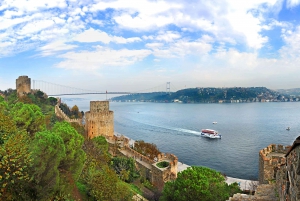 Istanbul: Official Museum Pass for 12 Most Popular Museums