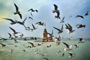 Istanbul: Official Museum Pass for 12 Most Popular Museums