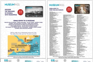 Istanbul: Official Museum Pass for 12 Most Popular Museums