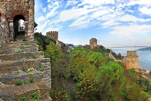 Istanbul: Official Museum Pass for 12 Most Popular Museums