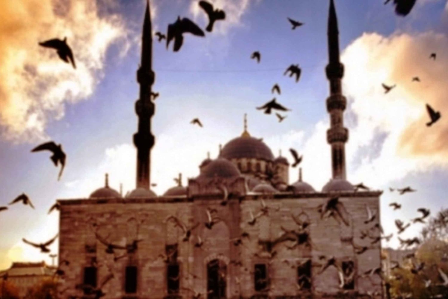Istanbul: Old City Full-Day Tour -(Entry Fees Inculucing)