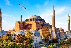 Istanbul: Old City Full-Day Tour -(Entry Fees Inculucing)