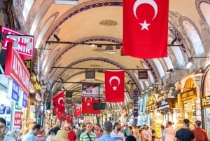 Istanbul: Old City Guided Tour with Public Transport