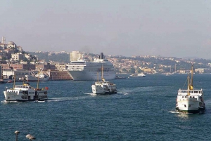 Istanbul: Old Town Highlights Tour & Bosphorus Cruise