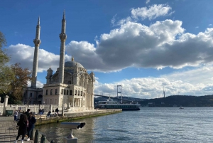 Istanbul: Old Town Highlights Tour & Bosphorus Cruise