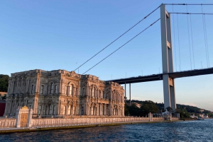 Istanbul: Old Town Highlights Tour & Bosphorus Cruise