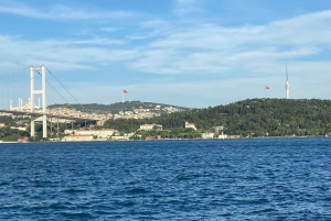 Istanbul: Old Town Highlights Tour & Bosphorus Cruise