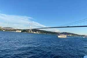 Istanbul: Old Town Highlights Tour & Bosphorus Cruise