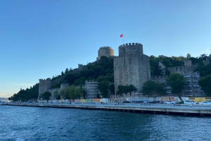Istanbul: Old Town Highlights Tour & Bosphorus Cruise
