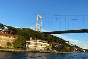 Istanbul: Old Town Highlights Tour & Bosphorus Cruise