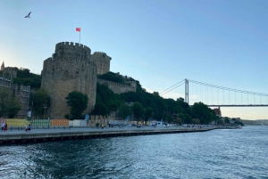 Istanbul: Old Town Highlights Tour & Bosphorus Cruise