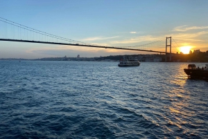 Istanbul: Old Town Highlights Tour & Bosphorus Cruise