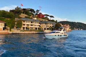 Istanbul: Old Town Highlights Tour & Bosphorus Cruise