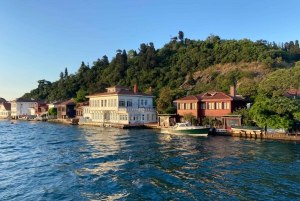 Istanbul: Old Town Highlights Tour & Bosphorus Cruise