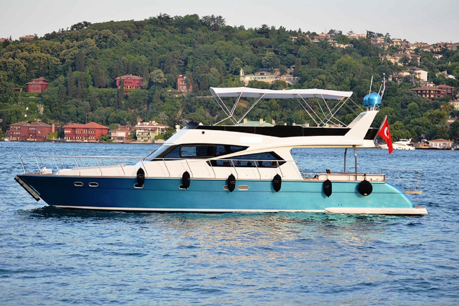 Istanbul: Old Town Tour and Bosphorus Lunch Cruise