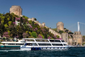 Istanbul: Old Town Tour and Bosphorus Lunch Cruise
