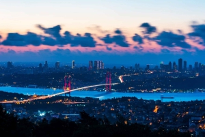 Istanbul: Old Town Tour and Bosphorus Lunch Cruise