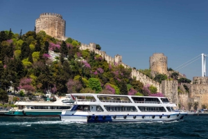 Istanbul: Old Town Tour and Bosphorus Lunch Cruise