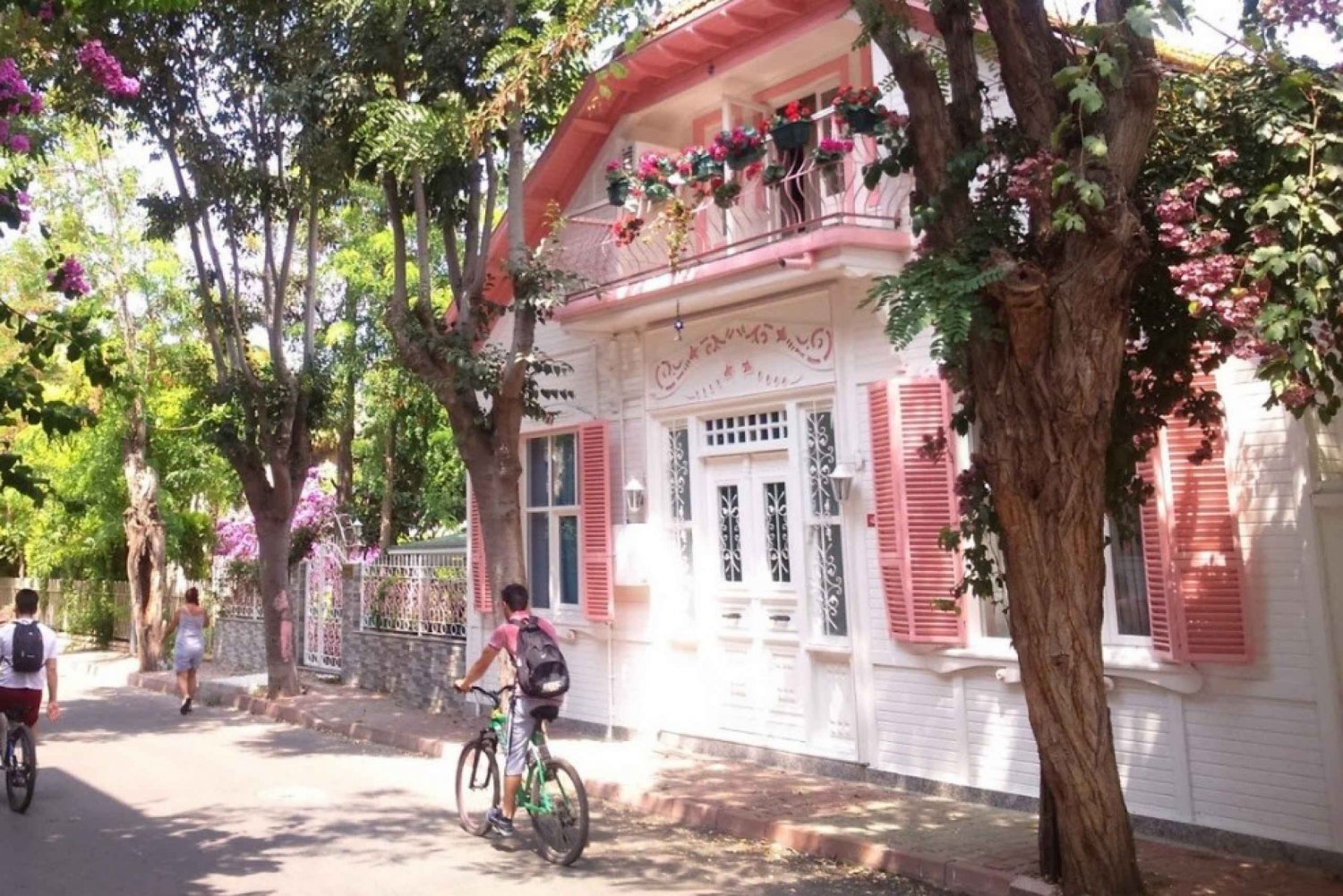 Istanbul: Princes Islands Tour with Heybeliada and Buyukada