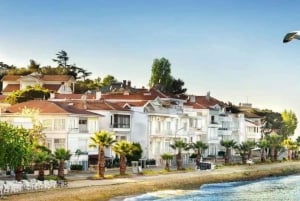 Istanbul: Princes Islands Tour with Heybeliada and Buyukada