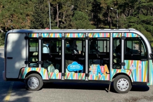 Istanbul: Princes Islands Tour with Heybeliada and Buyukada