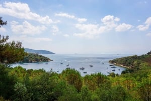 Istanbul: Princes' Islands Cruise w/Music, Lunch & Transfer