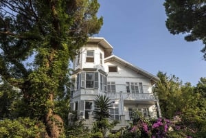 Istanbul: Princes' Islands Cruise w/Music, Lunch & Transfer