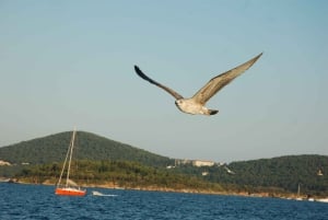Istanbul: Princes' Islands Cruise w/Music, Lunch & Transfer