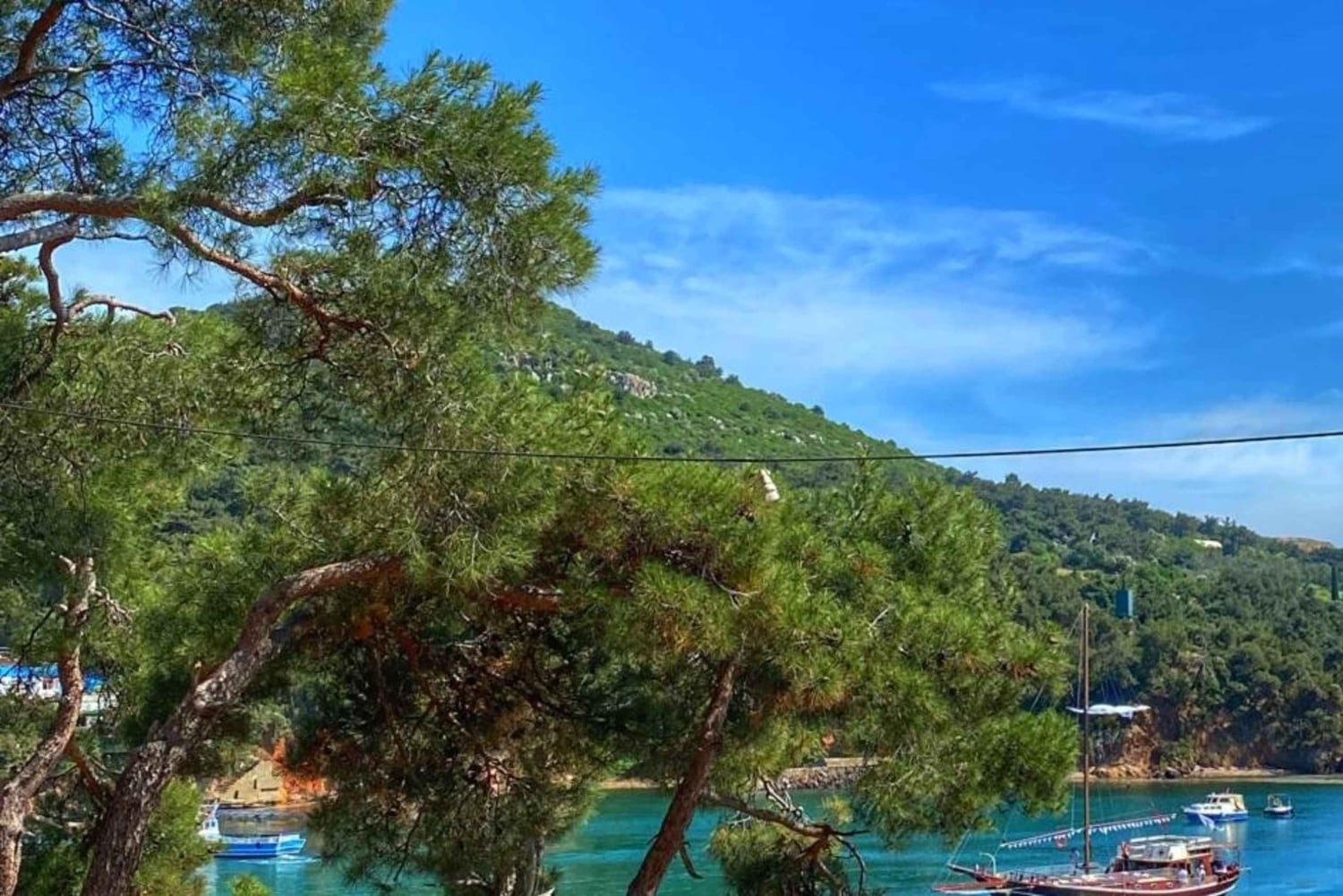 Istanbul: Princes' Islands Cruise with Lunch and Free Time