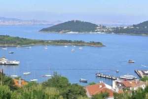 Istanbul: Princes' Islands Cruise with Lunch and Free Time