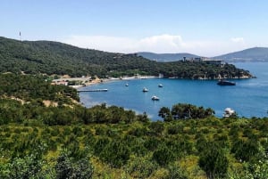 Istanbul: Princes' Islands Cruise with Lunch and Free Time