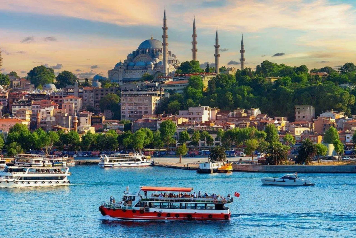 Istanbul: Princes' Islands Cruise with Lunch and Guide