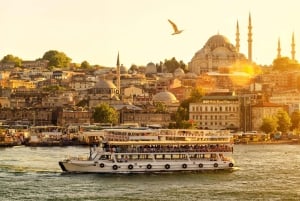Istanbul: Princes' Islands Cruise with Lunch and Guide