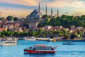 Istanbul: Princes' Islands Cruise with Lunch and Guide