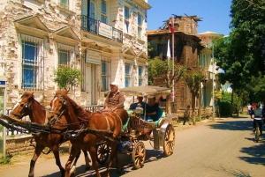 Istanbul: Princes' Islands Cruise with Lunch and Guide