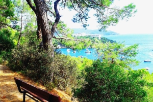 Istanbul: Princes' Islands Cruise with Lunch and Guide