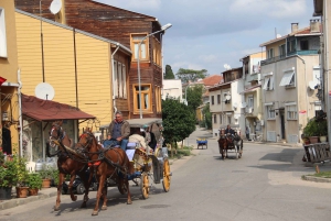 Istanbul: Princes' Islands Cruise with Lunch and Guide