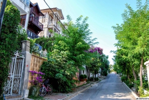 Istanbul: Princes' Islands Cruise with Lunch and Guide