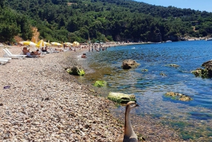 Istanbul: Princes' Islands Cruise with Lunch and Guide