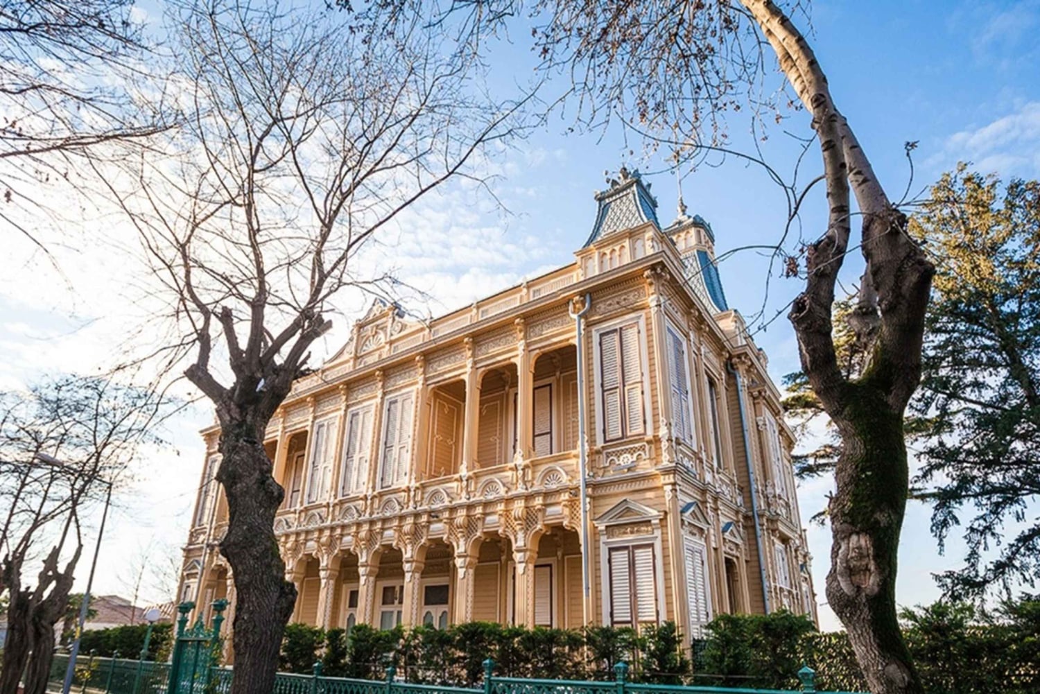 Istanbul: Princes' Islands Tour with Lunch and Transfers