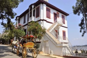 Istanbul: Princes' Islands Tour with Lunch and Transfers