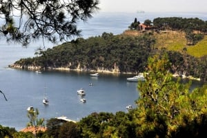 Istanbul: Princes' Islands Tour with Lunch and Transfers