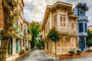 Istanbul: Princes' Islands Tour with Lunch and Transfers