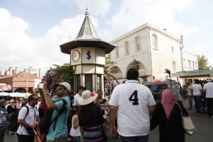 Istanbul Princes Islands Tour by Private Boat Pickup & Lunch